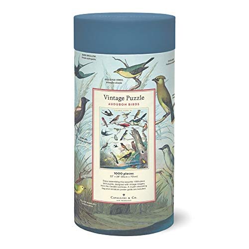 CAVANILLI & CO. Cavallini 1000 Piece Puzzle, Audubon Birds (PZL/BRD) - Image 3