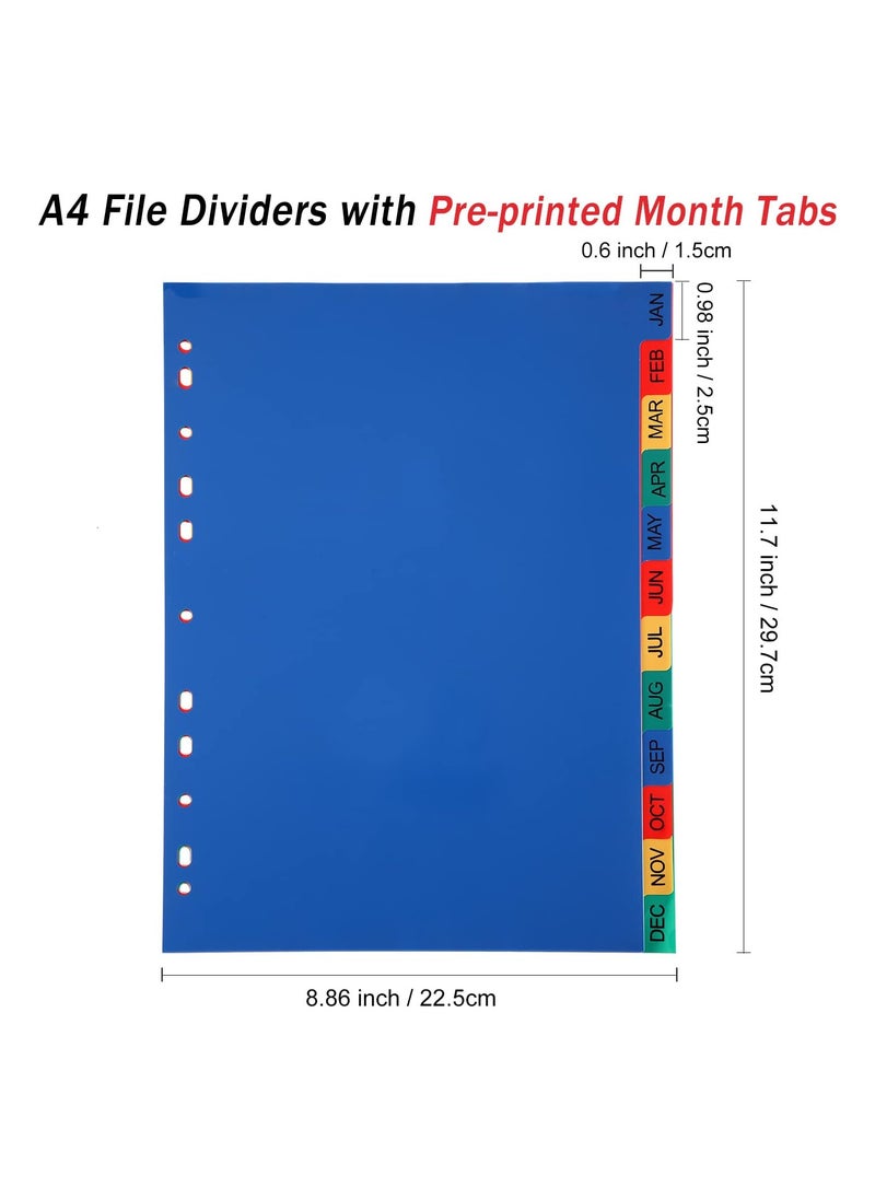 Generic - A4 File Dividers 12 Part Index Jan-Dec (5 Pack) A4 Plastic Binder Dividers, Multi-Punched 11-Hole Assorted Colours Month Index Divider Tabs for Most Ring Binders - Image 1