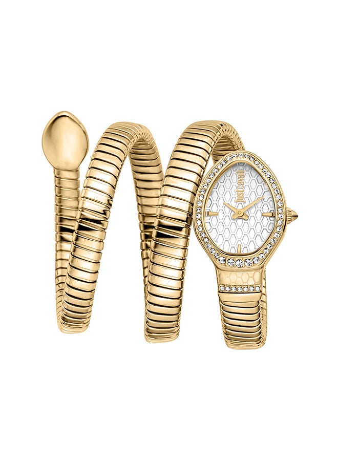 Just Cavalli جست كافالي ليدي سنيك كاريزا JC1L372M0025 - ساعة كوارتز أنثوية من الفولاذ المقاوم للصدأ ذات عقربين - Image 1