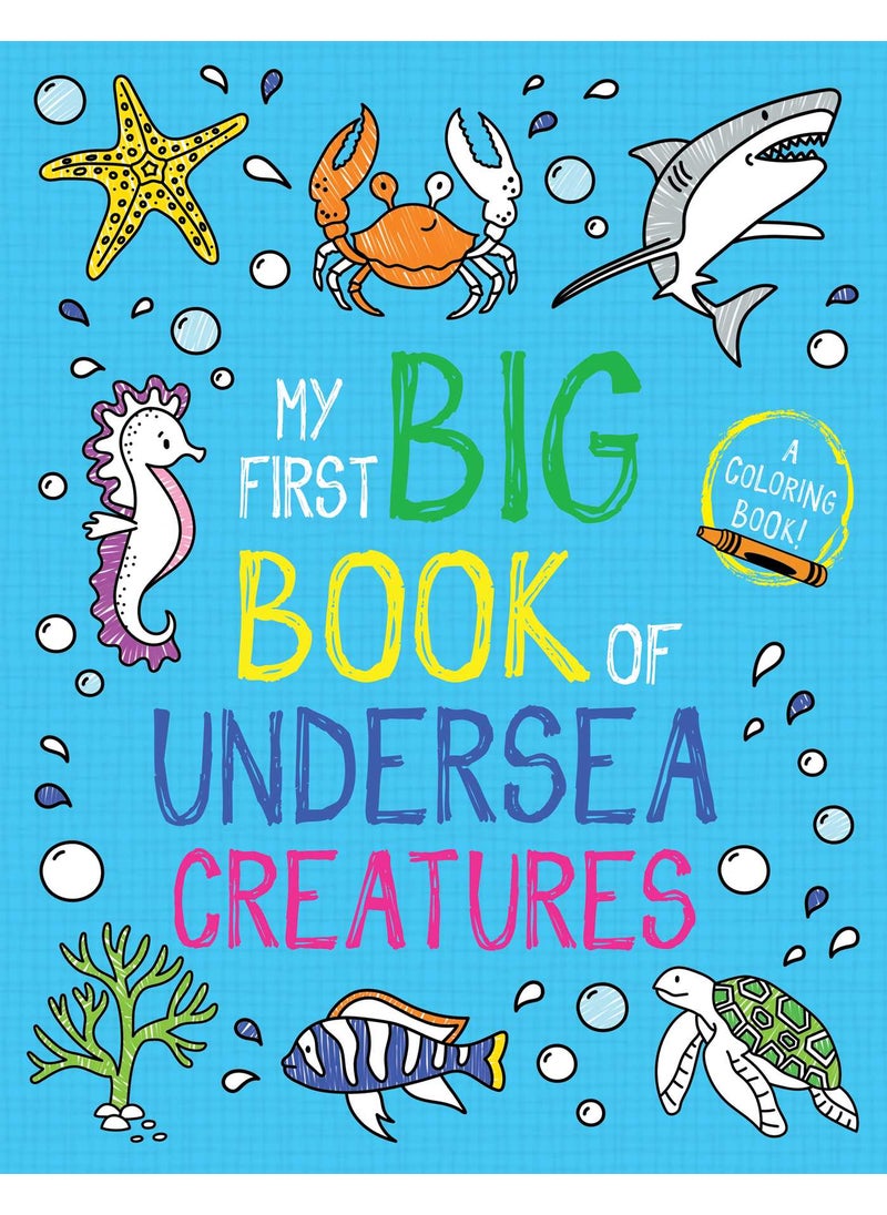 My First Big Book of Undersea Creatures - pzsku/ZA46996B67845BC39A51EZ/45/_/1734598760/e7e95936-8c65-441a-8178-549afeef045c