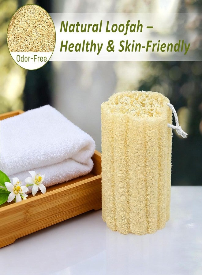 Brvlsoc 2-Pack Natural Loofah Body Scrubbers – Exfoliating Shower Sponges for Men & Women, Large Suitable for Face & Body Care - Image 5