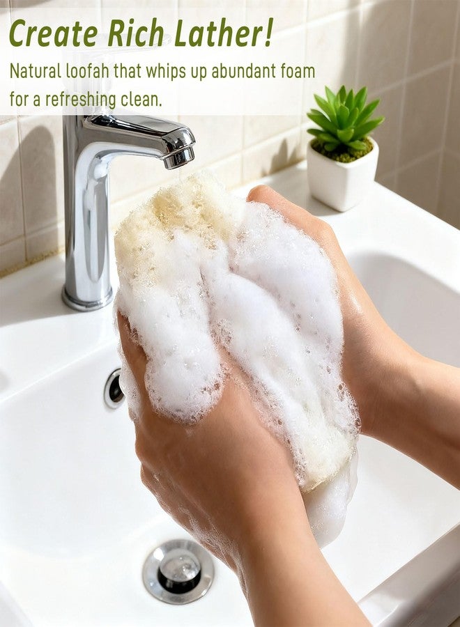 Brvlsoc 2-Pack Natural Loofah Body Scrubbers – Exfoliating Shower Sponges for Men & Women, Large Suitable for Face & Body Care - Image 3