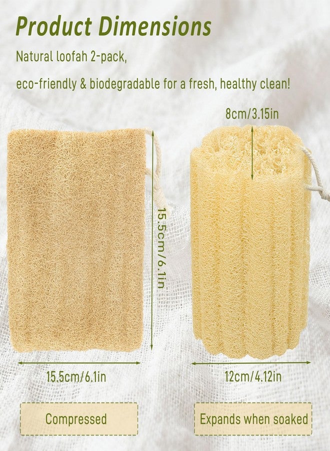 Brvlsoc 2-Pack Natural Loofah Body Scrubbers – Exfoliating Shower Sponges for Men & Women, Large Suitable for Face & Body Care - Image 2
