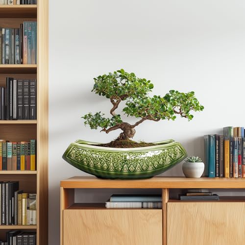Teagas Bonsai Planter 18 Inch - Large Ceramic Succulent Pots with Drainage Hole, Bonsai Pots for Indoor Outdoor Plant, Ceramic Flower Pot, Decorative Plant Pot, Garden Decor, Housewarming Gift, Green - Image 3