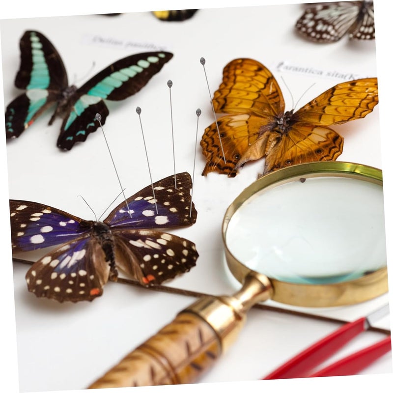 Stainless Steel Insect Specimen Pins 100pcs 4cm Entomology Mounting Tools - Image 5