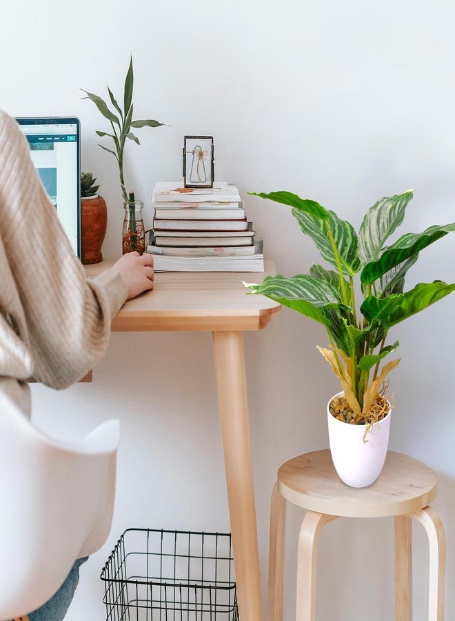 AUMVEYI 2 Pack Artificial Hosta Potted Plants, Medium Fake Tropical Plants in Pot, Faux Green Plants Indoor for Office Table Desk Home Décor - Image 4