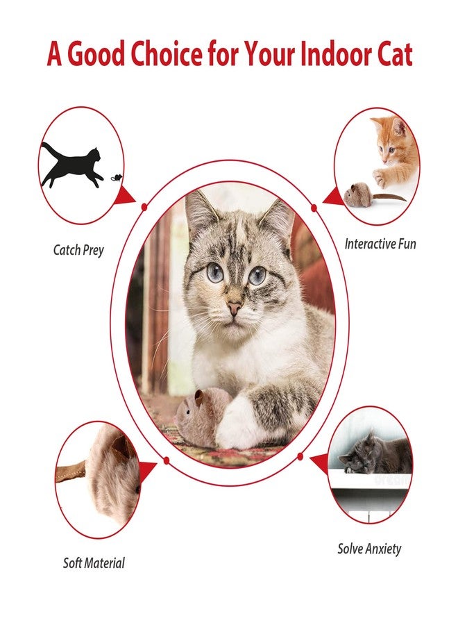 Gigwi Interactive Toy Set for Indoor Cats - 3PCS Plush Pack Including Squeaky Feather, Mouse Hunt, Chase Bird, and Chirping Cricket Toys - Image 2