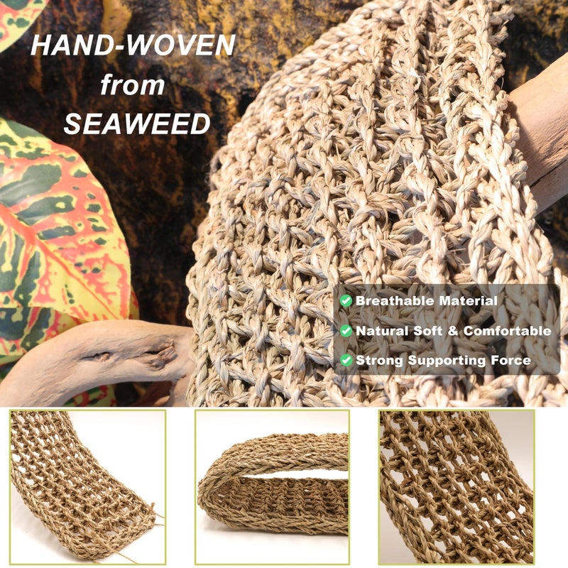 ExoRepti Bearded Dragon Hammock Lizard Tank Accessories Reptile Lounger Amphibian Habitat DÃ©cor for Chameleon, Geckos, Snakes, Hermit Crab, Lguana Reptiles, Tortoises - Image 3