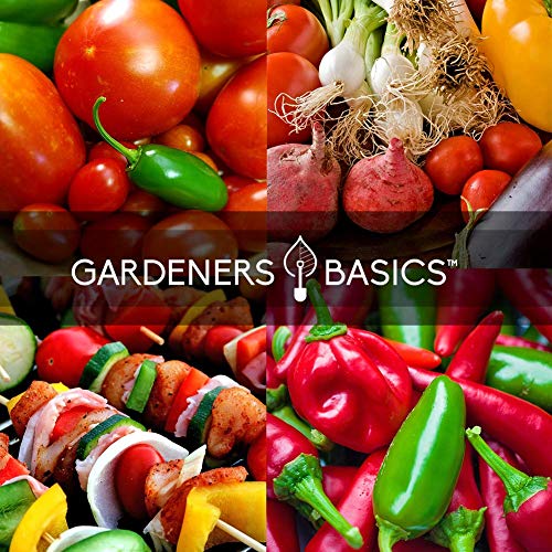Gardeners Basics, Heirloom Hot Salsa Growing Seed Packets 8 Varieties Habanero, Jalapeno, Serrano Peppers, Roma, San Marzano Tomato, Cilantro, Green Onion, Tomatillo for Garden Non-GMO Heirloom - Image 5