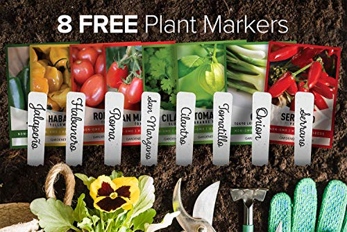 Gardeners Basics, Heirloom Hot Salsa Growing Seed Packets 8 Varieties Habanero, Jalapeno, Serrano Peppers, Roma, San Marzano Tomato, Cilantro, Green Onion, Tomatillo for Garden Non-GMO Heirloom - Image 2