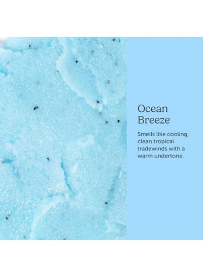 Nectar Life Sugar Body Scrub 8 oz, Moisturizing and Exfoliating Scrub for Nourishing Essential Body Care, Gift For Her (Ocean Breeze) - Image 5