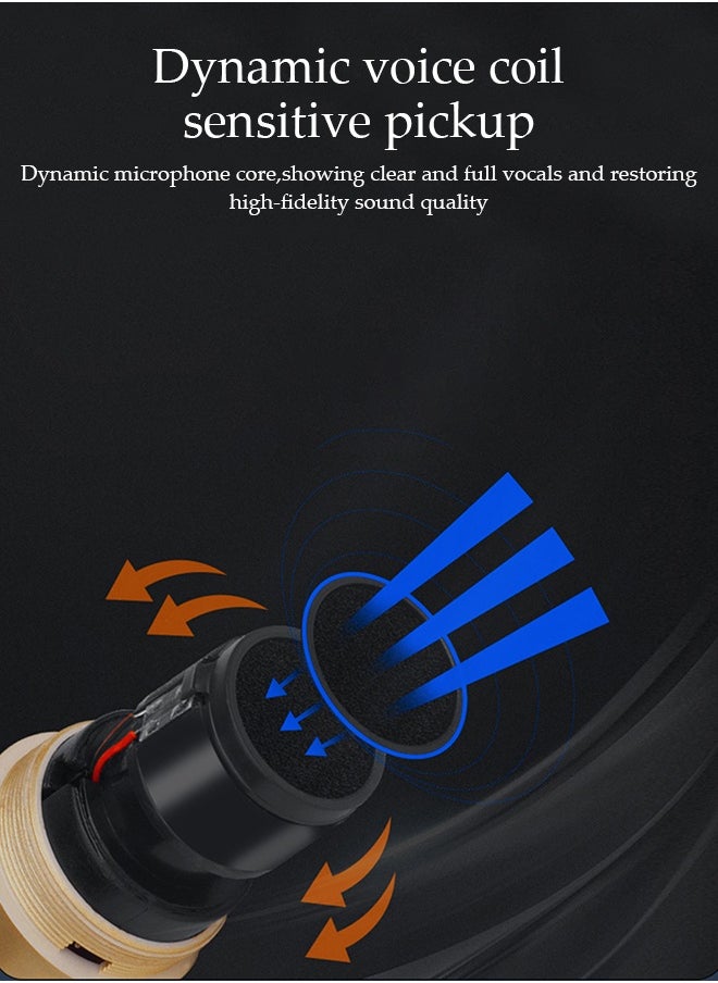 DUNISO 2Pcs Wireless Microphone，1 to 2 Microphones，Hand Microphone，Rechargeable Microphone，Professional Cordless Microphone，Used for Karaoke Nights and Family Gatherings DJ、 Meeting，Golden  - Image 3