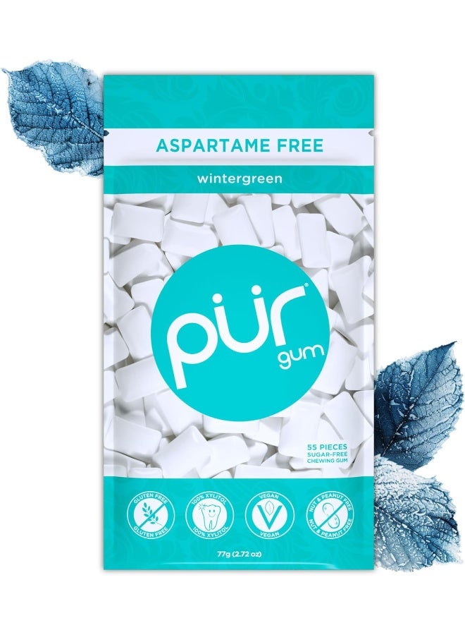 PUR Gum | Sugar Free Chewing Gum | 100% Xylitol | Vegan, Aspartame Free, Gluten Free | Natural Wintergreen Flavored Gum, 55 Pieces (Pack of 1) - Image 1