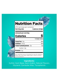 PUR Gum Sugar Free Chewing Gum | 100% Xylitol | Vegan, Aspartame Free, Gluten Free | Natural Wintergreen Flavored Gum, 55 Pieces (Pack of 1)  - Image 2