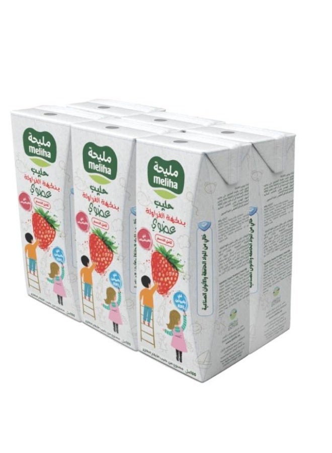 Strawberry Milk, 6 x 180 ml, UAE