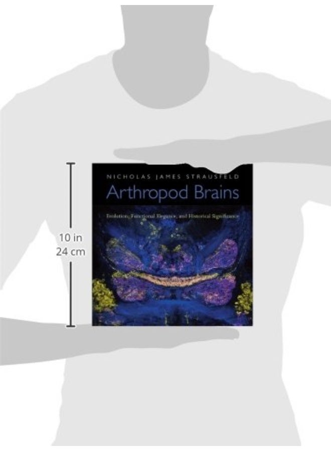 Arthropod Brains: Evolution, Functional Elegance, and Historical Significance - Image 2