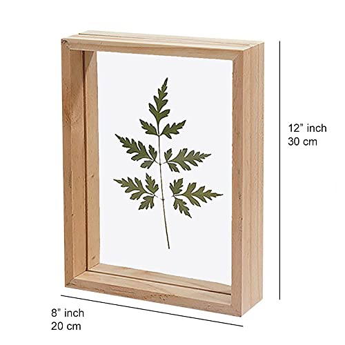 Desi Rang Wooden Frame for Wall Decor, Table top, Any Plant Leaf, Picture, Photo, DIY, Gift, Home Office Shape (8x12 inch, Rectangular) - Image 4
