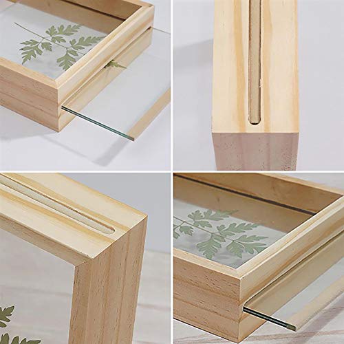 Desi Rang Wooden Frame for Wall Decor, Table top, Any Plant Leaf, Picture, Photo, DIY, Gift, Home Office Shape (8x12 inch, Rectangular) - Image 3