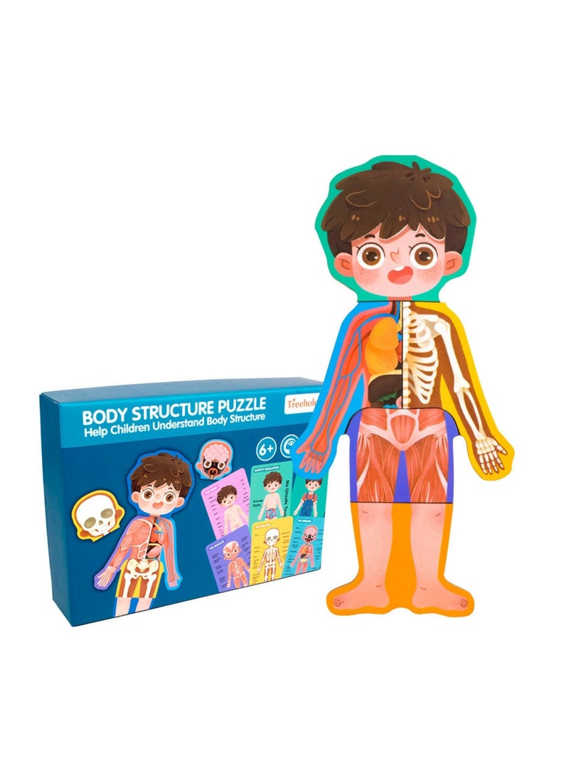 Factory Price Treehole Body Structure Puzzle Toy Set - Boy - Image 1