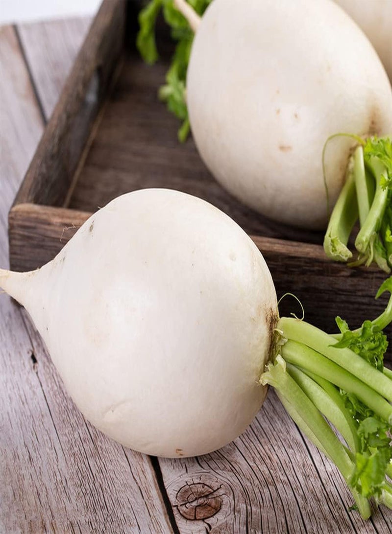 GGOOT 100Pcs White Radish Seeds Natural Delicious Vegetable for Outdoor Garden Planting Unique Gardening Decoration Has Ornamental Value - Image 1