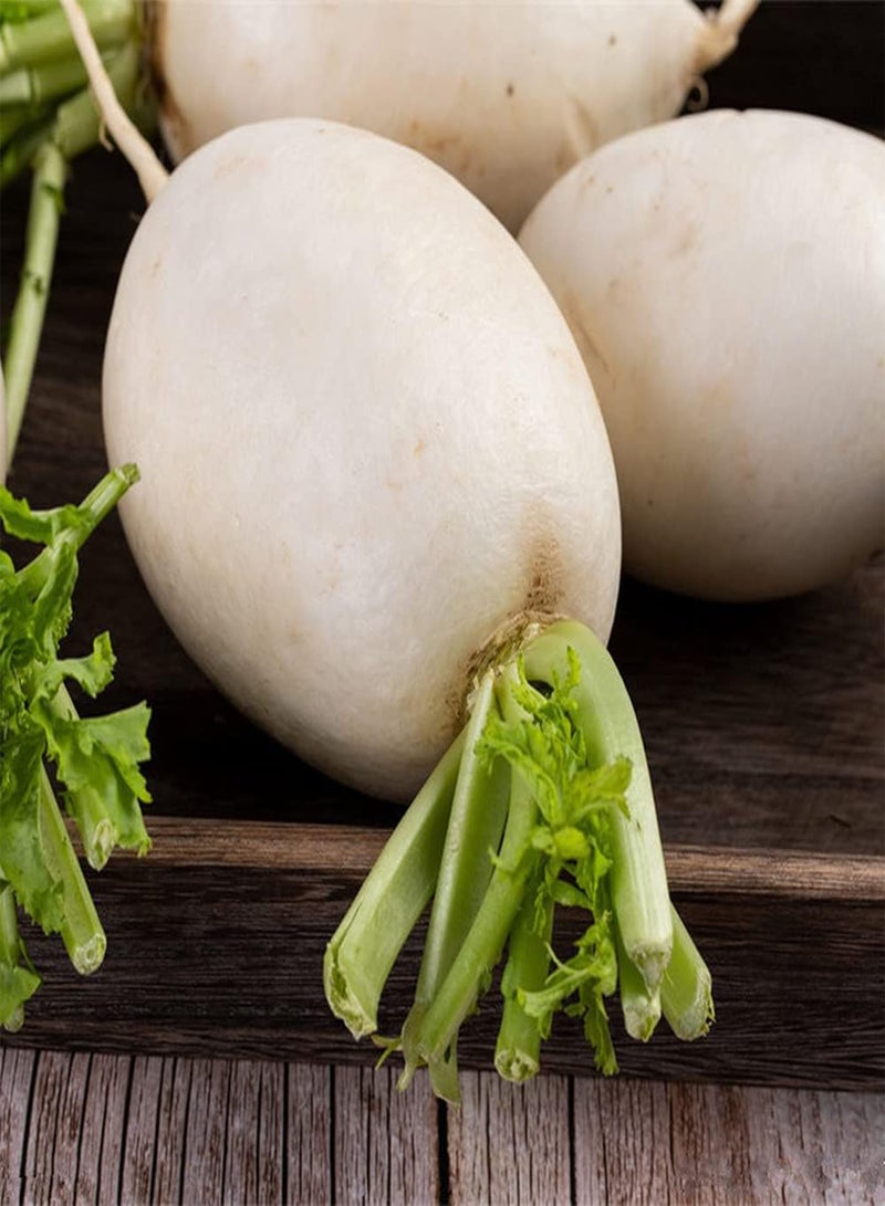 GGOOT 100Pcs White Radish Seeds Natural Delicious Vegetable for Outdoor Garden Planting Unique Gardening Decoration Has Ornamental Value - Image 2