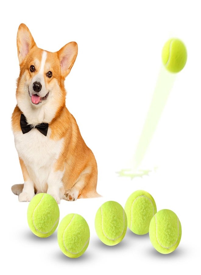 ZIYIZE Mini Tennis Balls, 6 Pack 2 inch Dog Tennis Balls, Easy Catching Pet Playing Ball for 2 inch Dog Ball Launcher - Image 1