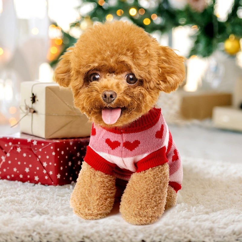 Rbenxia Dog Heart Knitted Sweater Warm Pet Dogs Clothes Winter Dog Outfits for Small Puppy Cat Pets (Red, M) - Image 5