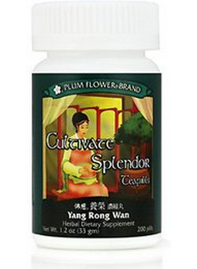 Plum Flower Cultivate Splendor Teapills - Yang Rong Wan 