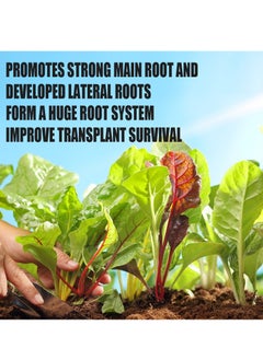 Plant rooting and germination powder, cutting plant transplanting tree, fruit tree root system nutrient powder - pzsku/ZA481E53396C083314984Z/45/_/1739257063/015689b0-b48a-4650-95d6-e961bfecaf78