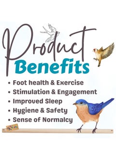 Western Era 'S Avian Haven Wooden Perch: Optimal Foot Health & Comfort For Your Feathered Companions, Ideal For Parakeets, Cockatiels & Small Birds, Crafted From Natural Wood For Durability (Pack Of 3)  - Image 2
