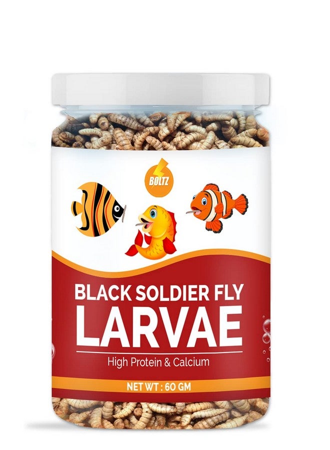 Boltze طعام أسماك مجفف من يرقات ذبابة الجندي الأسود لجميع مراحل حياتها - 60 جم (800+ لاراف)، طعام طبيعي لأسماك الأحواض المائية - نسبة عالية من البروتين والكالسيوم، عبوة من قطعة واحدة - Image 1