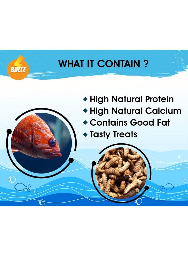 Boltze طعام أسماك مجفف من يرقات ذبابة الجندي الأسود لجميع مراحل حياتها - 60 جم (800+ لاراف)، طعام طبيعي لأسماك الأحواض المائية - نسبة عالية من البروتين والكالسيوم، عبوة من قطعة واحدة - Image 2