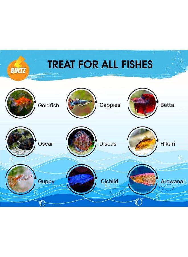 Boltze طعام أسماك مجفف من يرقات ذبابة الجندي الأسود لجميع مراحل حياتها - 60 جم (800+ لاراف)، طعام طبيعي لأسماك الأحواض المائية - نسبة عالية من البروتين والكالسيوم، عبوة من قطعة واحدة - Image 3