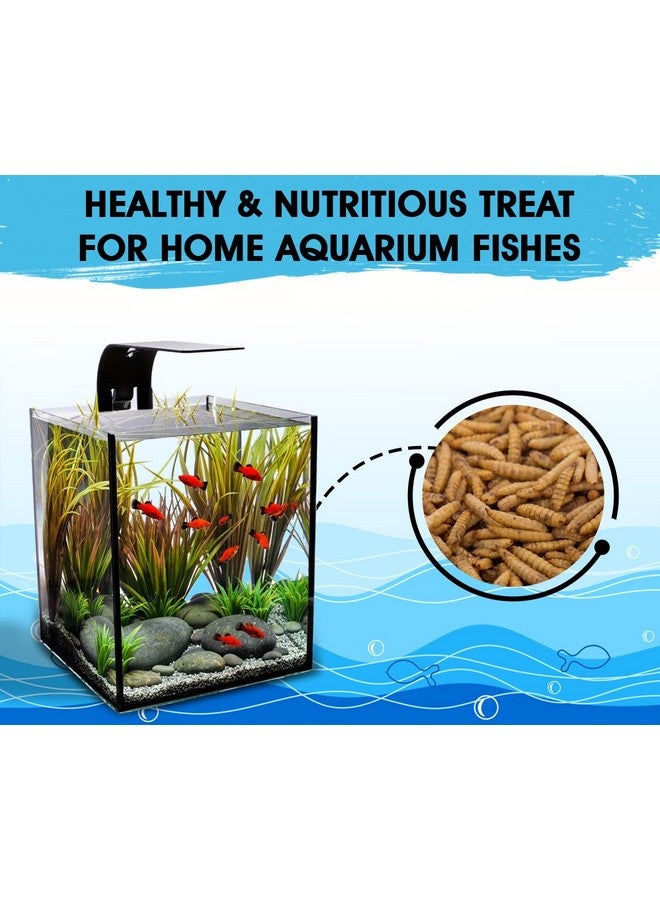 Boltze طعام أسماك مجفف من يرقات ذبابة الجندي الأسود لجميع مراحل حياتها - 60 جم (800+ لاراف)، طعام طبيعي لأسماك الأحواض المائية - نسبة عالية من البروتين والكالسيوم، عبوة من قطعة واحدة - Image 4