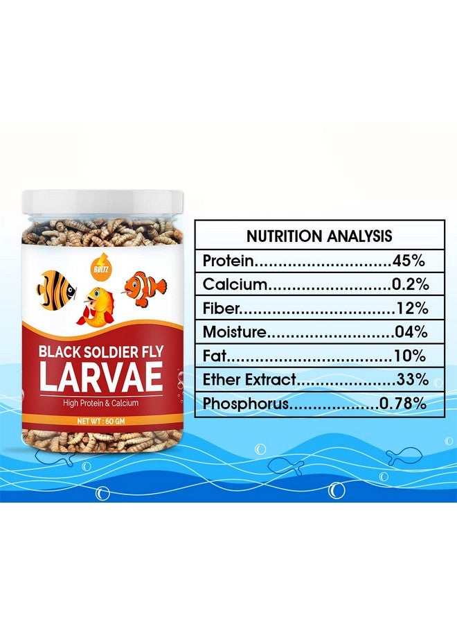 Boltze طعام أسماك مجفف من يرقات ذبابة الجندي الأسود لجميع مراحل حياتها - 60 جم (800+ لاراف)، طعام طبيعي لأسماك الأحواض المائية - نسبة عالية من البروتين والكالسيوم، عبوة من قطعة واحدة - Image 5