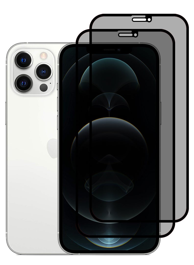 Theodor Pack of 2 Tempered Glass Screen Protector With 9H hardness For APPLE IPHONE 12 PRO Privacy 6.1  - Image 1
