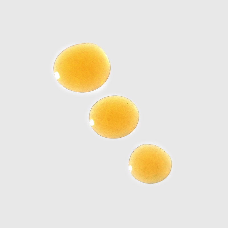 PAI SKINCARE - Organic Viper's Gloss Echium + Amaranth Overnight Face Oil | Natural, Vegan, Sensitive Skincare (1 fl oz | 30 mL) - Image 2