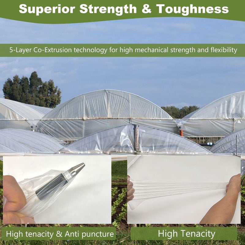 chicarry Greenhouse Plastic Sheeting, 12 x 25ft 6 mil Clear Greenhouse Film, UV Resistant Plastic Sheeting Heavy Duty, Polyethylene Green House Plastic Cover for Farms, Garden, Agriculture - Image 2