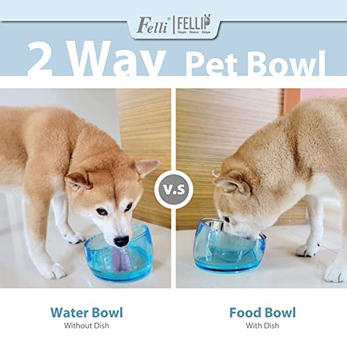 Felli Pet Oblik Slanted Dog Food Water Bowl Elevated Stainless Steel Oval Dish Ergonomic Angled Metal Feeder Spill Proof Non Slip, Raised Acrylic Cone for Bulldog Pug Small Medium (1.5Cup Sapphire) - Image 2