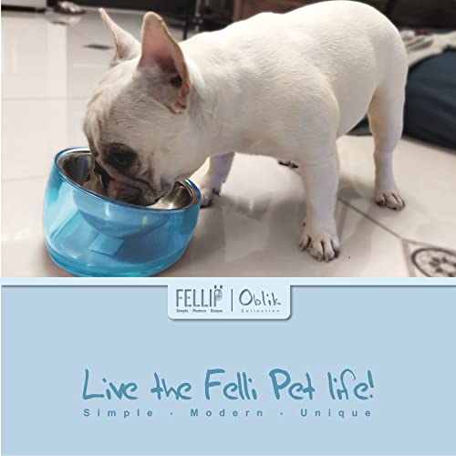 Felli Pet Oblik Slanted Dog Food Water Bowl Elevated Stainless Steel Oval Dish Ergonomic Angled Metal Feeder Spill Proof Non Slip, Raised Acrylic Cone for Bulldog Pug Small Medium (1.5Cup Sapphire) - Image 5