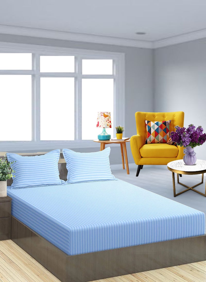 Blueberry Sky Blue Cotton Double Striped Fitted Elastic Pack of 3 Bedsheet 150x200+25cm  - Image 1