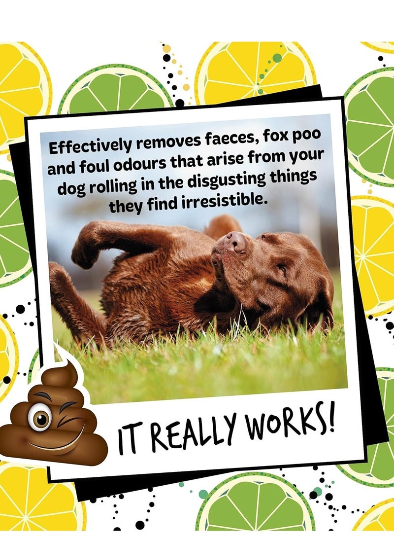 BUGALUGS Stinky Dog Shampoo 500ml (16.9 Fl Oz) - Image 3