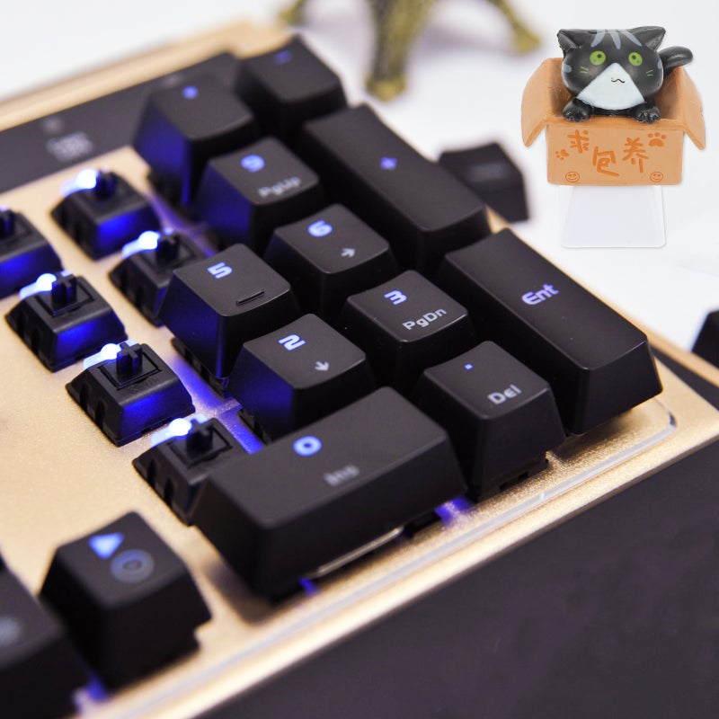 2pcs Key Caps Cat In Cardboard Box R4 Profile DIY Keyboard Keycap - Image 4
