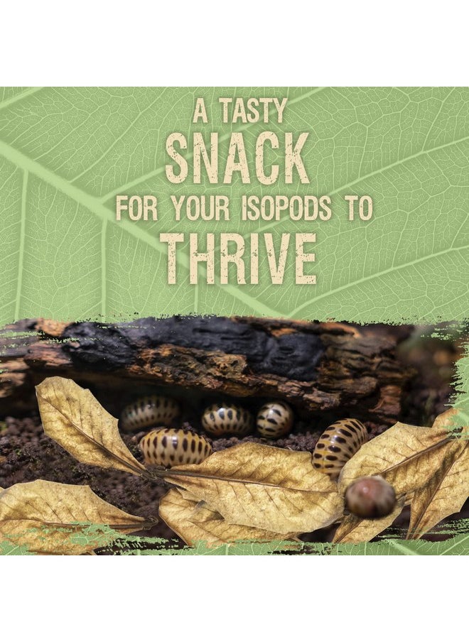 SunGrow - SunGrow 10 Pack Hermit Crab Large Catappa Indian Almond Leaves, Tarantula Dried Leaves for Spawning, Source of Cellulose and Nutrition for Isopods and Crickets, Create Humid Vivarium Habitat, 8” - Image 1