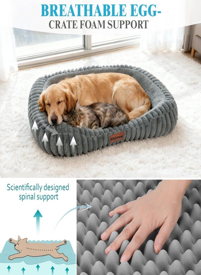 KISIMUY Orthopedic Dog Bed, Memory Foam Bolster Bed for Small Dogs - Image 2