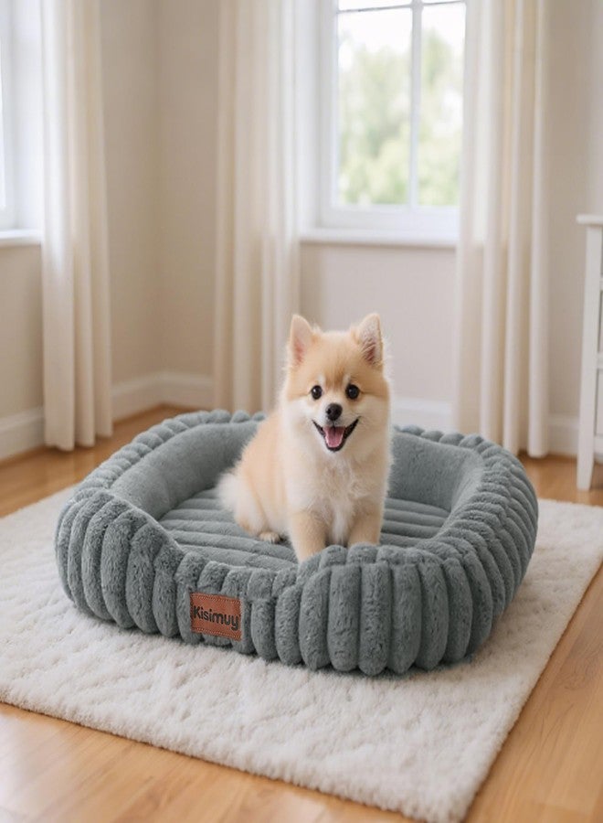 KISIMUY Orthopedic Dog Bed, Memory Foam Bolster Bed for Small Dogs - Image 1