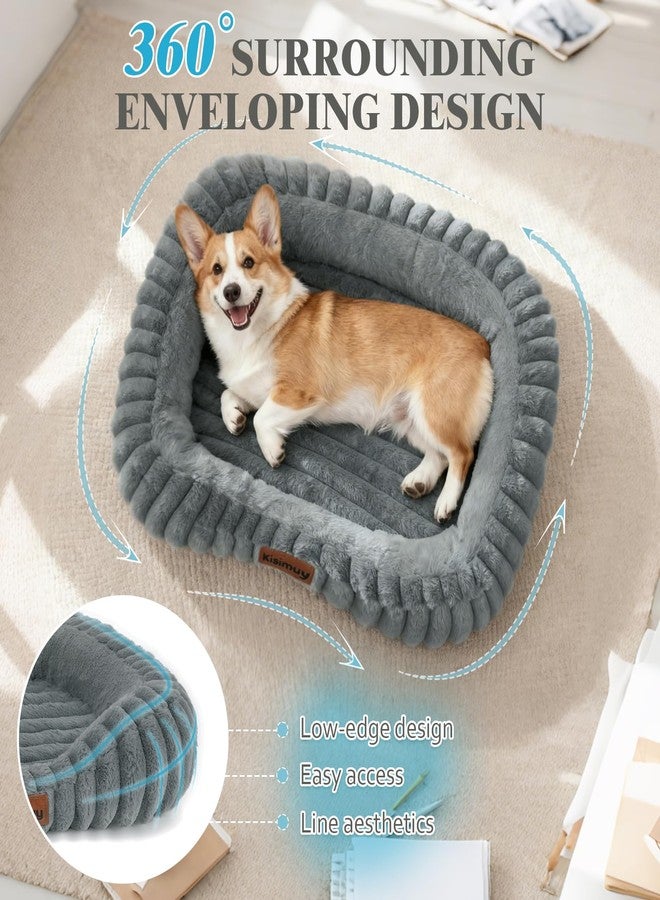 KISIMUY Orthopedic Dog Bed, Memory Foam Bolster Bed for Small Dogs - Image 4