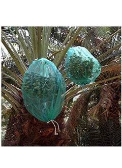RACO Dates Cover Net Type 65x95 CM with Strong Black Rope,Date Palm Bag Kajur Bag, Suitable for Protecting The Dates on The Tree, PACK OF 1  - Image 3