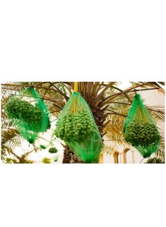 RACO Dates Cover Net Type 65x95 CM with Strong Black Rope,Date Palm Bag Kajur Bag, Suitable for Protecting The Dates on The Tree, PACK OF 1  - Image 4