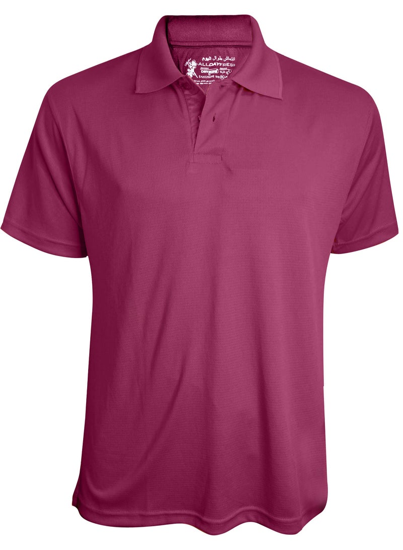 SANTHOME Sports Polo Shirt for Men  - Image 1